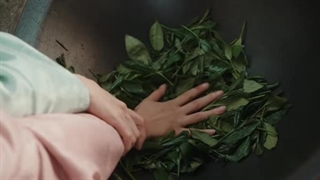 سریال چینی Glory , افتخار قسمت ۲۴ با زیرنویس