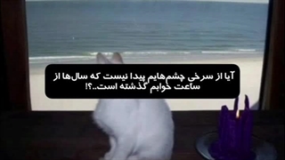 معلوم نیس...!؟