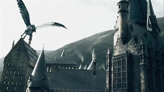 چقدر اون روزایی که هری پاتر نگاه میکردیم روزای قشنگی بودن:)