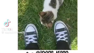 تولد دوستت رو اینجوری تبریک بگو