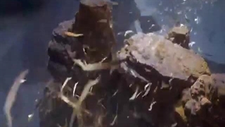 انیمه پوشاندن آسمانها قسمت146_EP146_Shrouding_the_Heavens