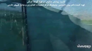 تاثیر توری سایبان شرکت تورینه بافت برای پرورش گوجه فرنگی