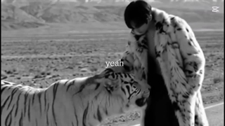 He's a tiger