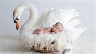 بکدراپ عکاسی نوزاد