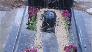 دشمن آزارگر تو ، بهترین معلم زندگی توست