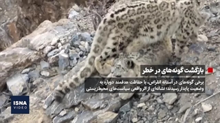 هفت خبر علمی امیدبخش که ۲۰۲۵ را روشن‌تر کردند