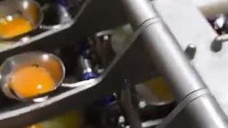 جداسازی زرده از سفیده تخم مرغ در تلاونگ