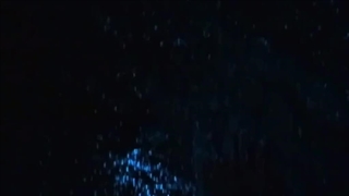 سلام به ۱۶ سالگیم.....