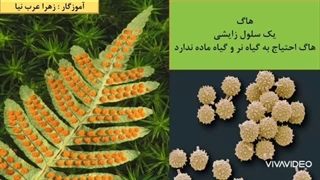 علوم چهارم ابتدایی