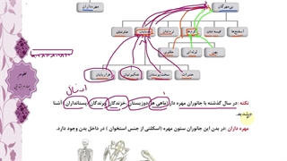 بی مهرگان