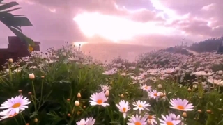 جادوی لبخند تو؛ پارت دوم (کپشن)