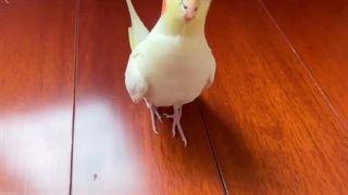 ᅠ ᅠ ᅠ ᅠ ᅠ ᅠ ᅠ ᅠ ᅠ