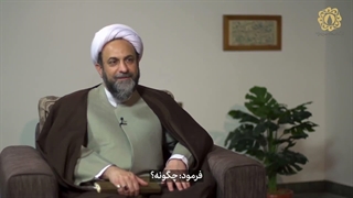سید حسن