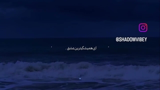 ✨️✨️✨️✨️