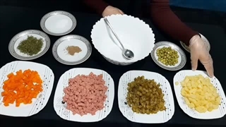 آموزش سالاد روسی به زبان انگلیسی