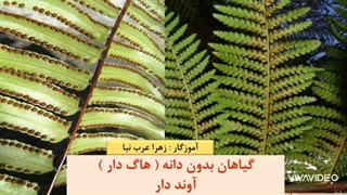 علوم چهارم ابتدایی