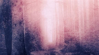 Lethian Dreams - Your Silence (Instrumental)