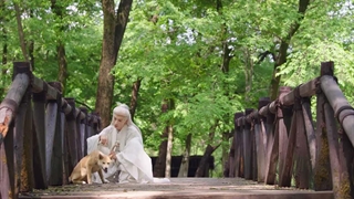 مینی سریال چینی الهه دل رحم 2026 Soft Hearted God قسمت 13 با زیرنویس