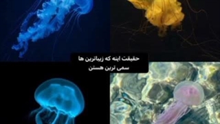 حقیقت اینه....