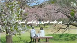 به حرف های سونجه گوش بدید! باشه!! ♡