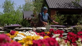 یک روز تابستونی گرم / country vlog