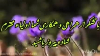 سپاسگزارم