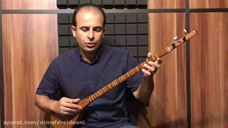 فیلم آموزش سه‌تار نیما فریدونی