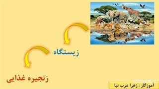 علوم تجربی چهارم ابتدایی