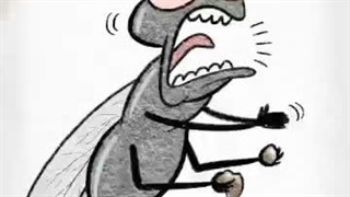 فوبیای موجودات مختلف