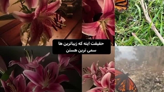 ^^