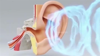 انیمیشن میکروفون چگونه کار میکند؟ (صدا چطور  تبدیل به سیگنال الکتریکی میشه؟)