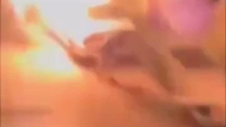 اون حیونی که آدم سوزی کرد قرار به درک واصل شه ان شاالله