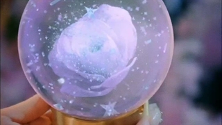 رامی / Rami