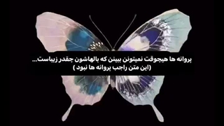 اون مثل پروانه ها زیباست:) ĦBĐ MY LITTLE GIRL!