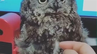 جگددد :-)  \(^_^)/