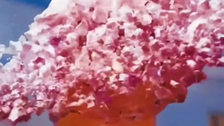 باورم نمیشه بلاخره بعد 3 ماه تونستم برگردمممممم(۹ هزار و خورده ای پست ندیده شده دارم عالیه)