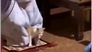 درد داشت o(╥﹏╥)o