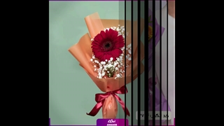 سفارش گل ژربرا؛ نماد شادی و انرژی