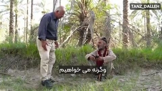 بادنجان
