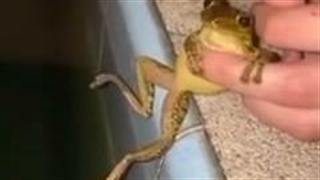 من و دخترا امروز ..