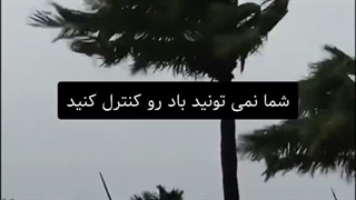 «شما نمی تونید باد رو کنترل کنید»