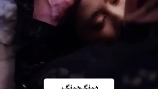 مینی عمارت فوکانگ قسمت ۶(آخر)