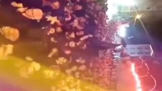 هیئت ابوالفضل ملایر