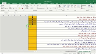 ✔ دانلود تست هوش چندگانه بر اساس مدل MI هوارد گاردنر در فایل اکسل